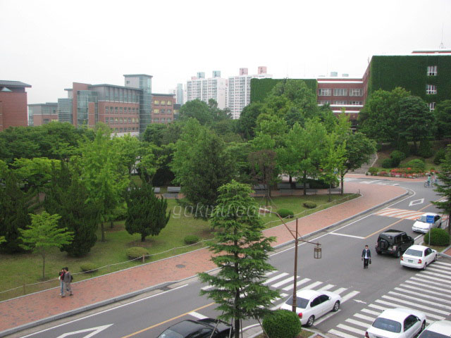 2008학년도 정시모집 '다'군 일반전형에서 볼 수 있듯이 우리대학은 학과제와 학부제, 단과대학제가 공존하고 있다.
