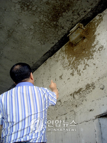 (대구=연합뉴스) 대구시민이 즐겨찾는 신천(新川)의 교각 밑부분과 신천동로변 난간 등에 거미떼가 몰려 산책과 운동을 위해 찾는 사람들에게 불쾌감을 주고 있다. 27일 한 시민이 대봉교 밑 거미줄이 뒤엉킨 곳을 가리키고 있다. realism@yna.co.kr 연합뉴스