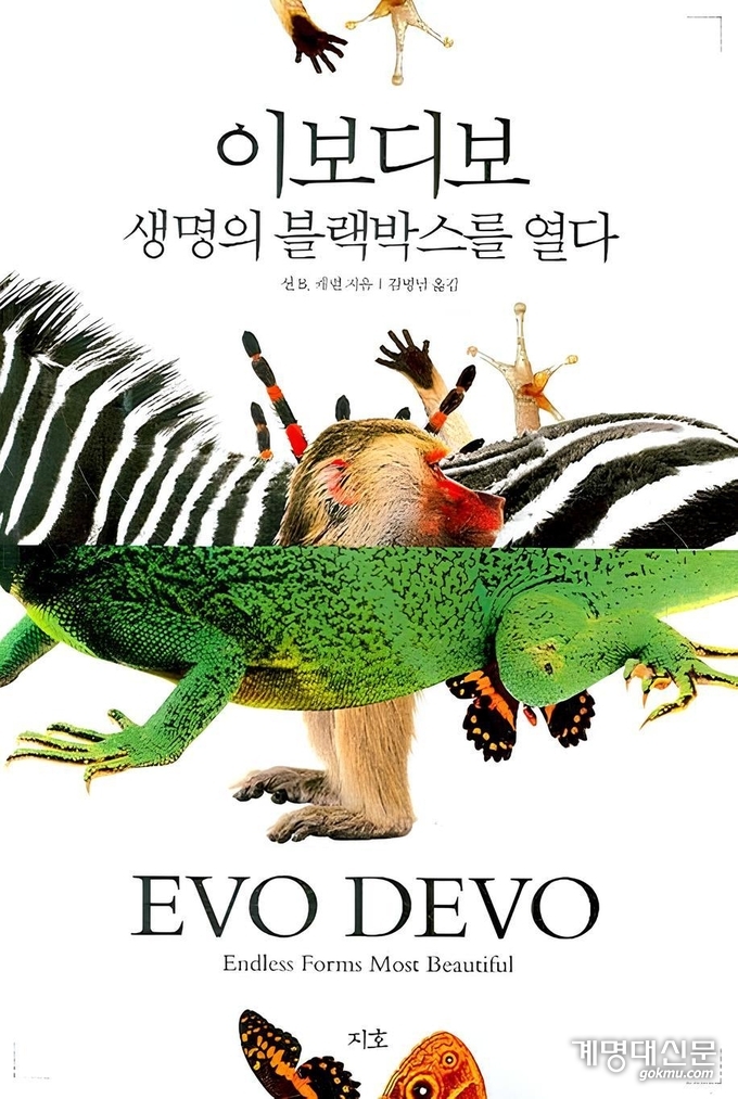 ⓒ 지호